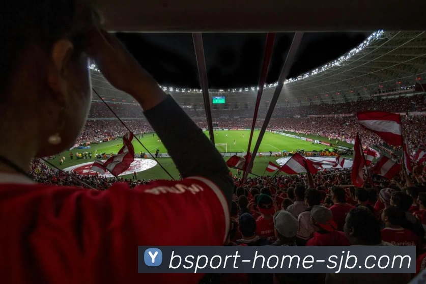 多媒体互动体验